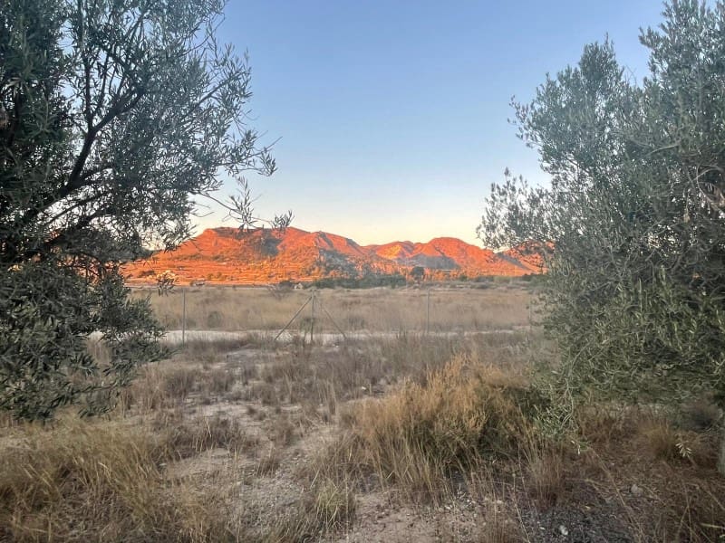 Teren niezagospodarowany na sprzedaż w La Romana - 69 500 € (Ref: 6684488)