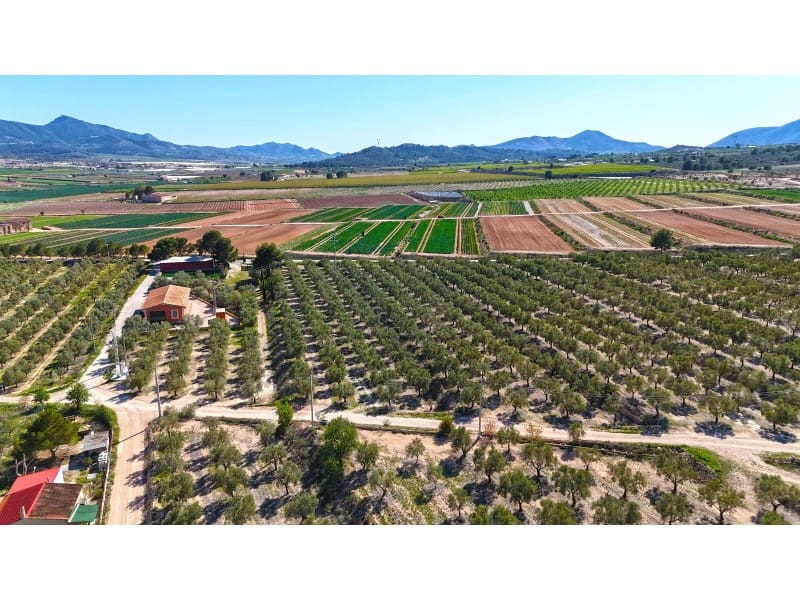 Grunde uden byggetilladelser til salg i Hondon de las Nieves - € 67.000 (Ref: 7185562)