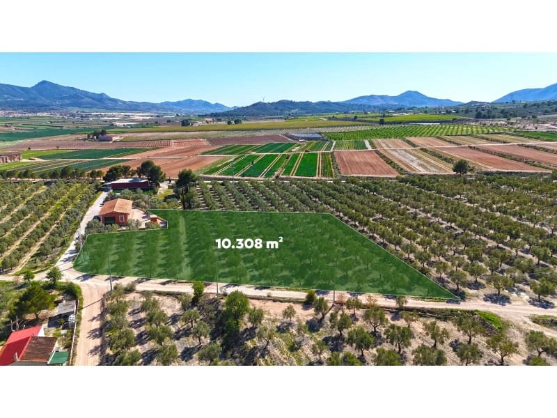 Grunde uden byggetilladelser til salg i Hondon de las Nieves - € 67.000 (Ref: 7185562)