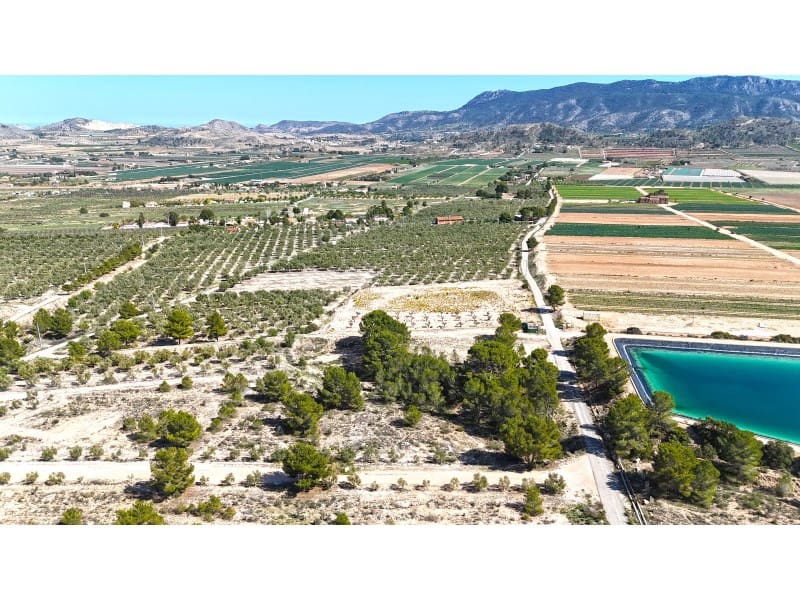 Grunde uden byggetilladelser til salg i Hondon de las Nieves - € 67.000 (Ref: 7185562)