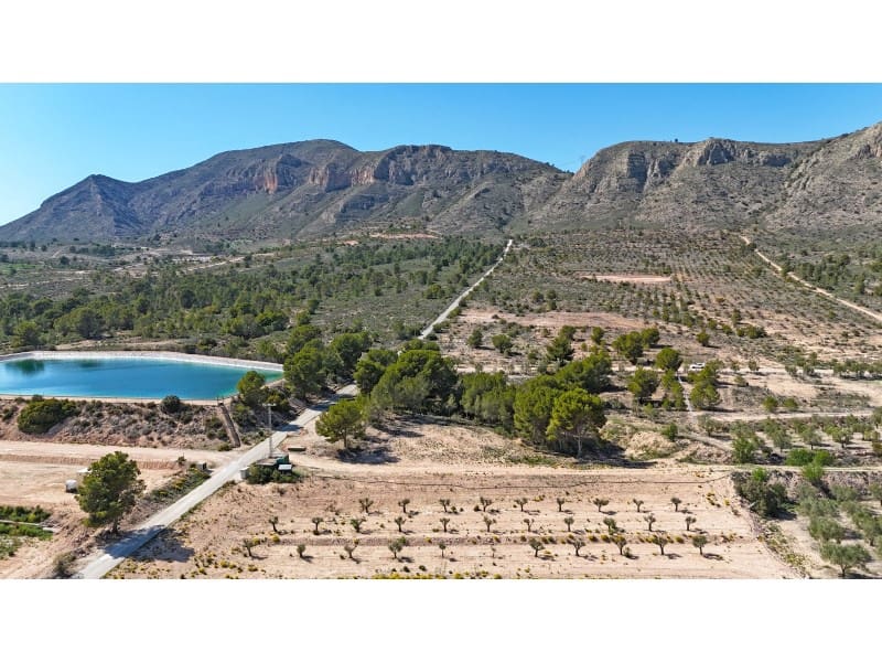 Grunde uden byggetilladelser til salg i Hondon de las Nieves - € 67.000 (Ref: 7185562)