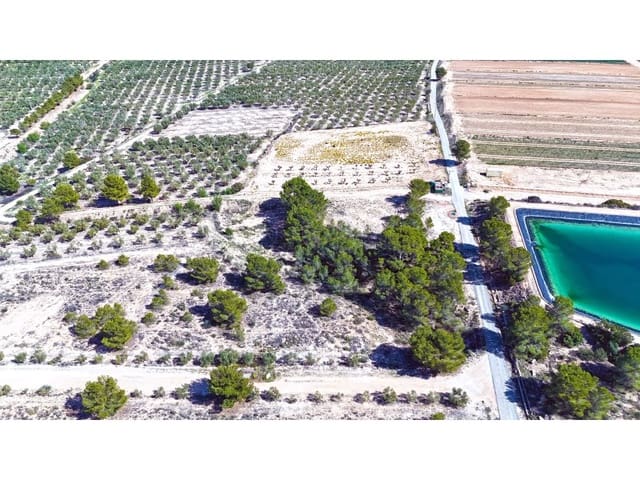 Mark till salu i Hondón de las Nieves - 67 000 € (Ref: 7185562)