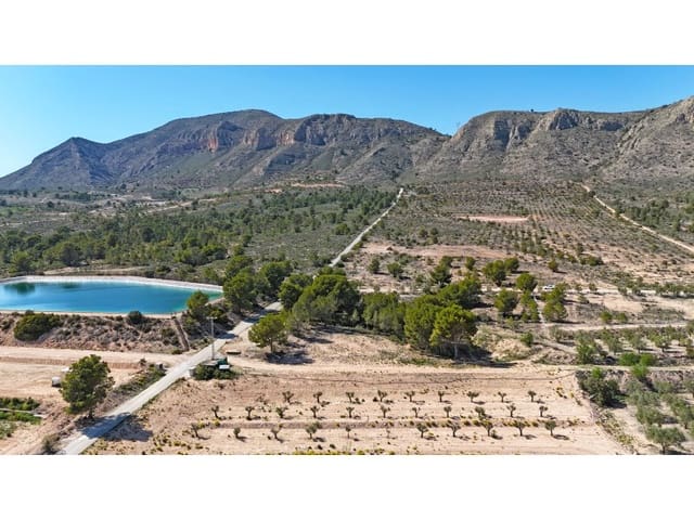 Mark till salu i Hondón de las Nieves - 67 000 € (Ref: 7185562)