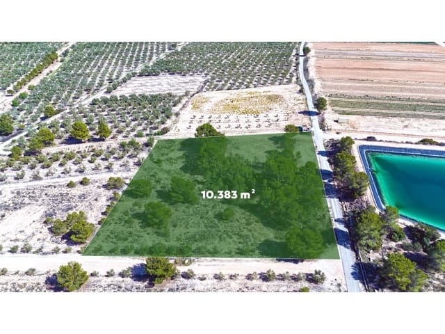 Mark till salu i Hondón de las Nieves - 67 000 € (Ref: 7185562)