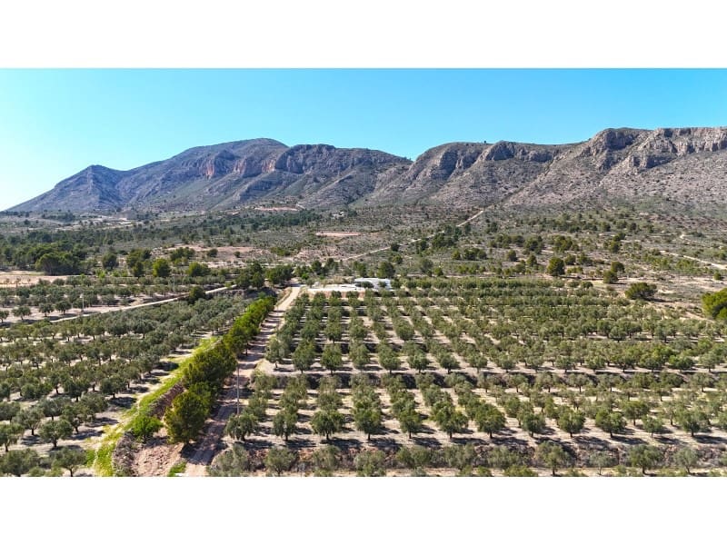 Grunde uden byggetilladelser til salg i Hondon de las Nieves - € 67.000 (Ref: 7185562)