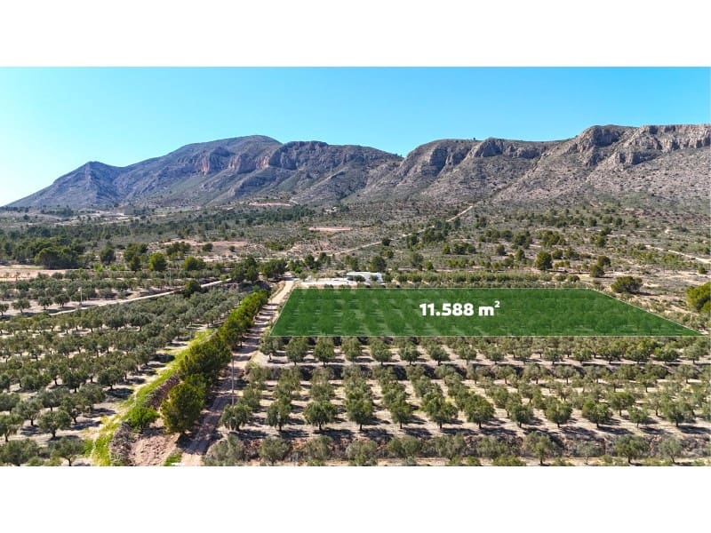 Grunde uden byggetilladelser til salg i Hondon de las Nieves - € 67.000 (Ref: 7185562)