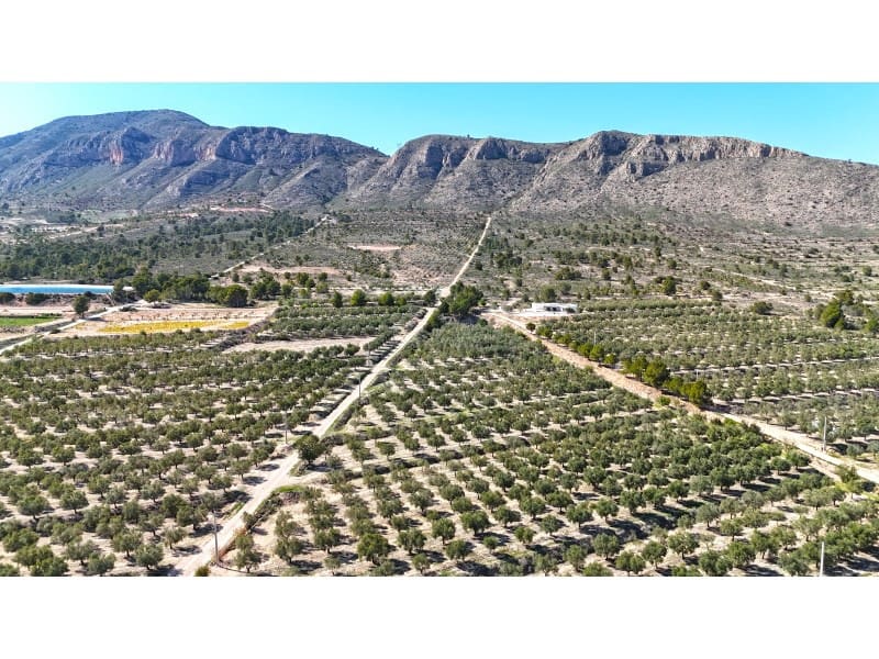 Grunde uden byggetilladelser til salg i Hondon de las Nieves - € 67.000 (Ref: 7185562)