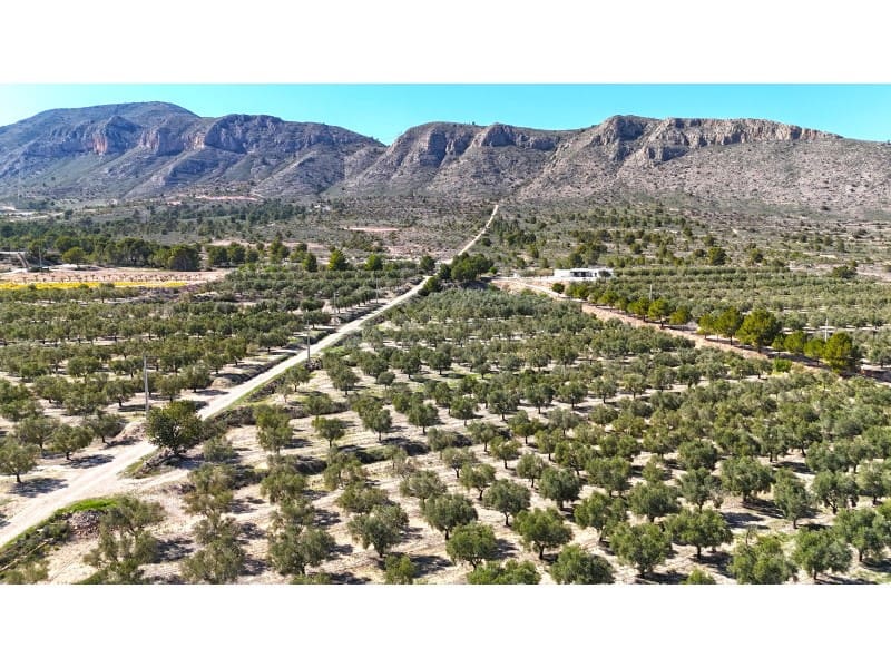 Grunde uden byggetilladelser til salg i Hondon de las Nieves - € 67.000 (Ref: 7185562)