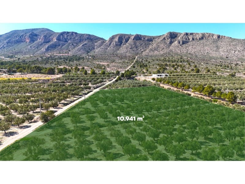 Grunde uden byggetilladelser til salg i Hondon de las Nieves - € 67.000 (Ref: 7185562)