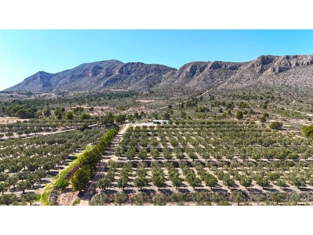 Terre non Aménagée à vendre à Hondón de las Nieves - 97 000 € (Ref: 7185562)