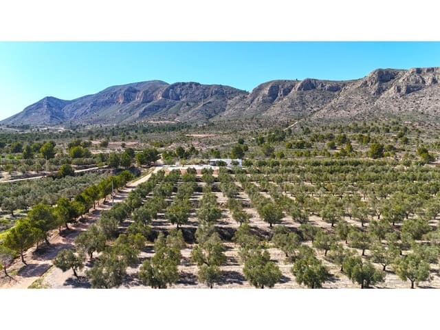 Terre non Aménagée à vendre à Hondón de las Nieves - 97 000 € (Ref: 7185562)