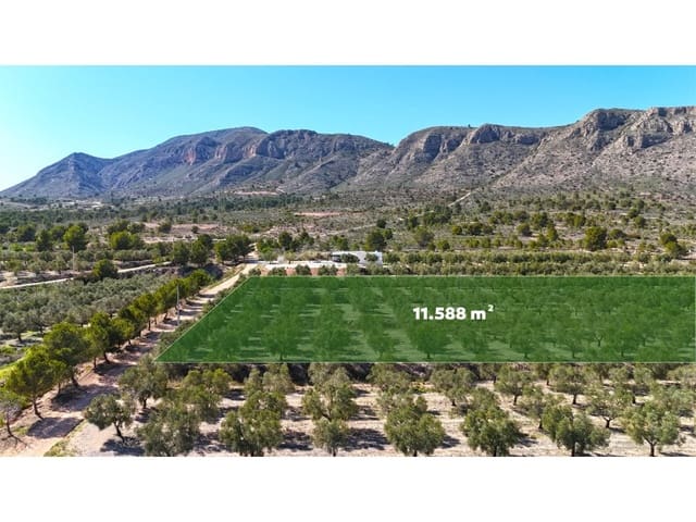 Terre non Aménagée à vendre à Hondón de las Nieves - 97 000 € (Ref: 7185562)