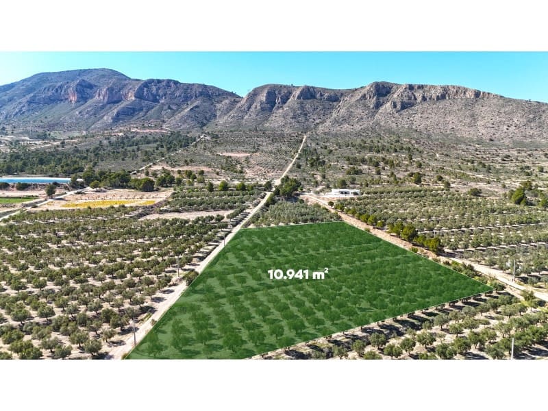 Grunde uden byggetilladelser til salg i Hondon de las Nieves - € 67.000 (Ref: 7185562)