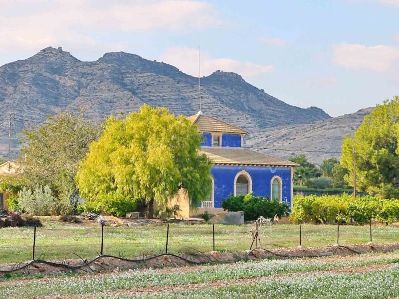 5 sypialnia Willa na sprzedaż w Aspe - 475 000 € (Ref: 7286554)