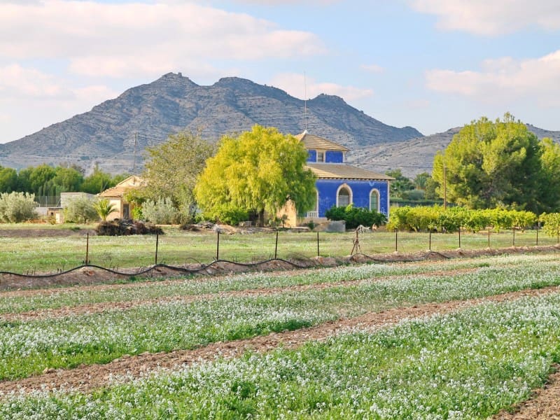 5 sypialnia Willa na sprzedaż w Aspe - 475 000 € (Ref: 7286554)