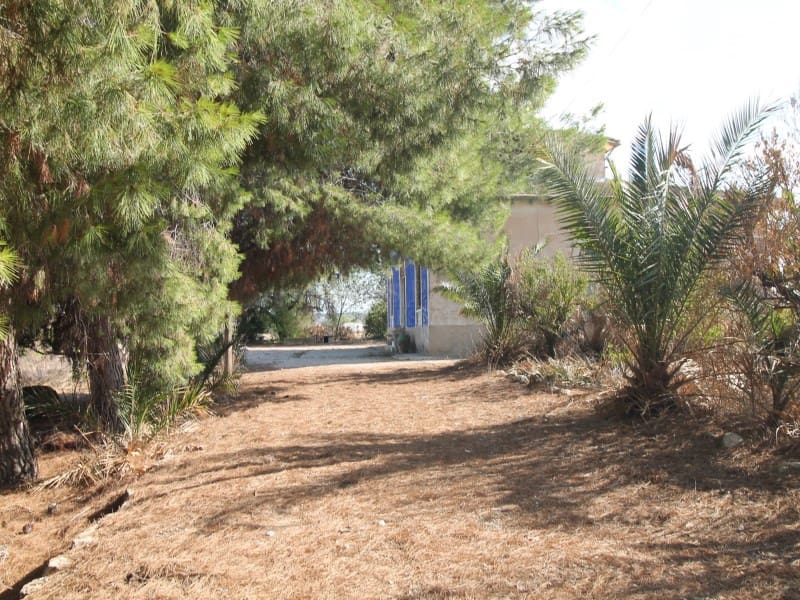 5 sypialnia Willa na sprzedaż w Aspe - 475 000 € (Ref: 7286554)