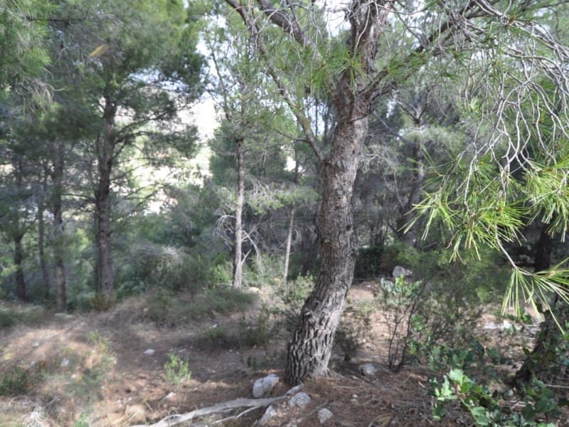 Terrain à Bâtir à vendre à Altea - 230 000 € (Ref: 8352593)