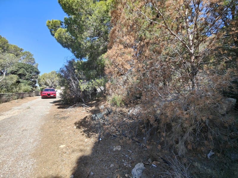 Terrain à Bâtir à vendre à Altea - 230 000 € (Ref: 8352593)