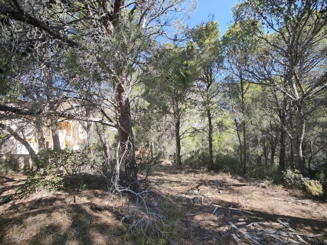 Byggegrund til salg i Altea - € 230.000 (Ref: 8352593)