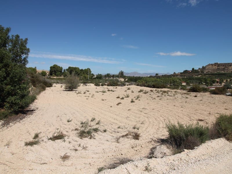 Terreno Non Edificato in vendita in Aspe - 120.000 € (Rif: 8665719)