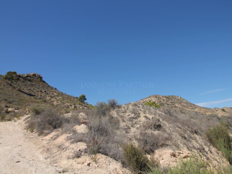 Terreno Non Edificato in vendita in Aspe - 120.000 € (Rif: 8665719)