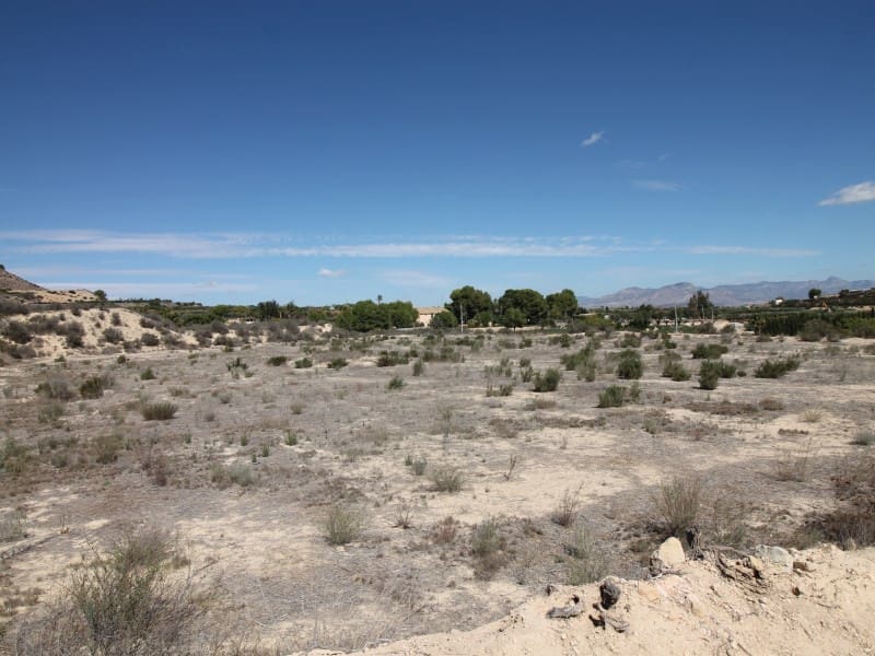 Terreno Non Edificato in vendita in Aspe - 120.000 € (Rif: 8665719)