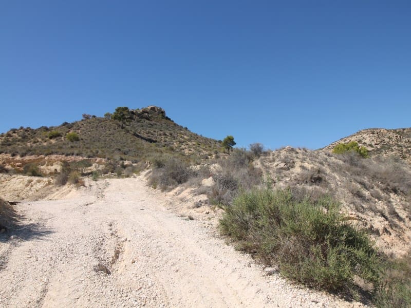 Terreno Non Edificato in vendita in Aspe - 120.000 € (Rif: 8665719)