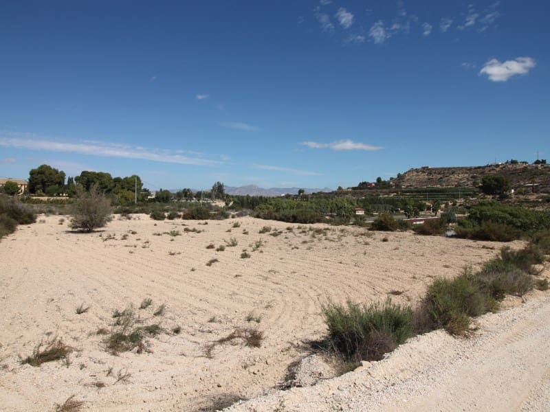 Terreno Non Edificato in vendita in Aspe - 120.000 € (Rif: 8665719)