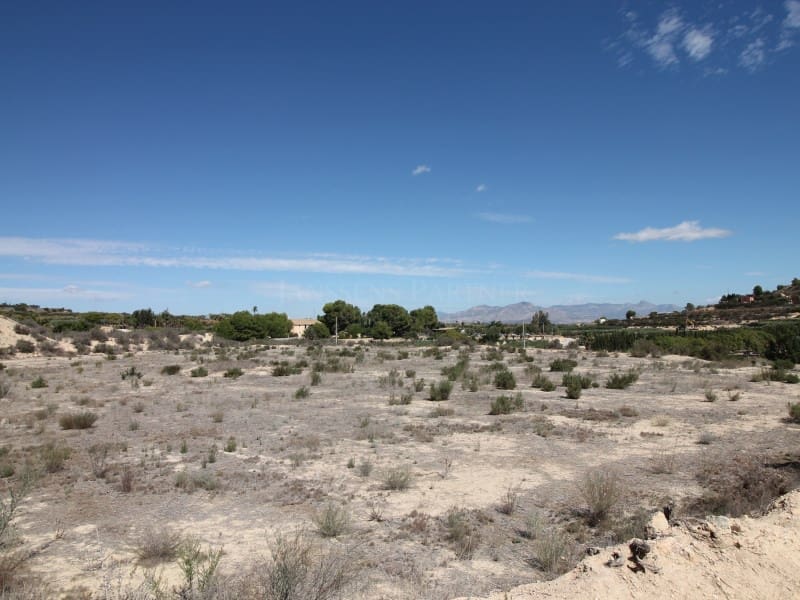 Terreno Non Edificato in vendita in Aspe - 120.000 € (Rif: 8665719)