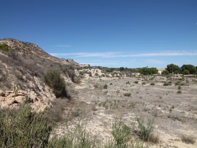 Terreno Non Edificato in vendita in Aspe - 120.000 € (Rif: 8665719)