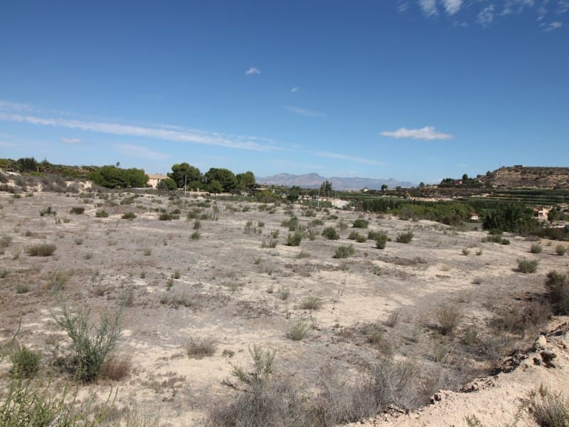 Terreno Non Edificato in vendita in Aspe - 120.000 € (Rif: 8665719)