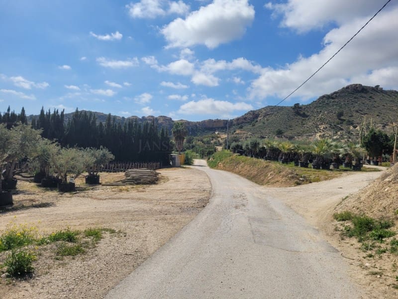 Rakentamaton maa myytävänä paikassa Aspe - 120 000 € (Ref: 8665719)