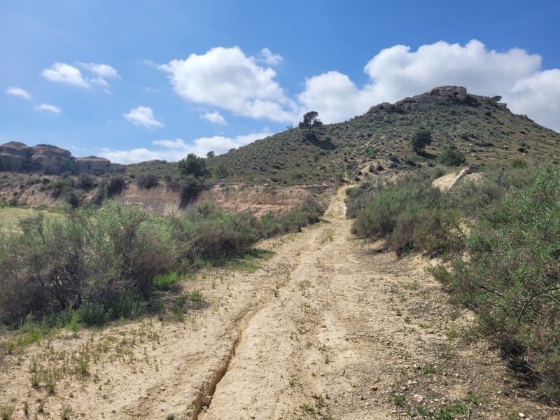 Rakentamaton maa myytävänä paikassa Aspe - 120 000 € (Ref: 8665719)