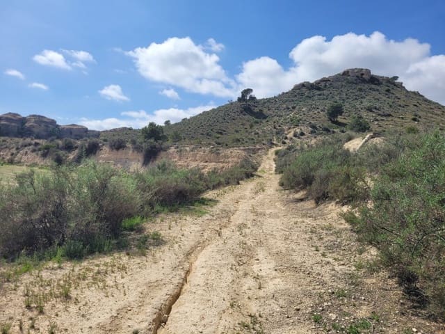 Rakentamaton maa myytävänä paikassa Aspe - 120 000 € (Ref: 8665719)