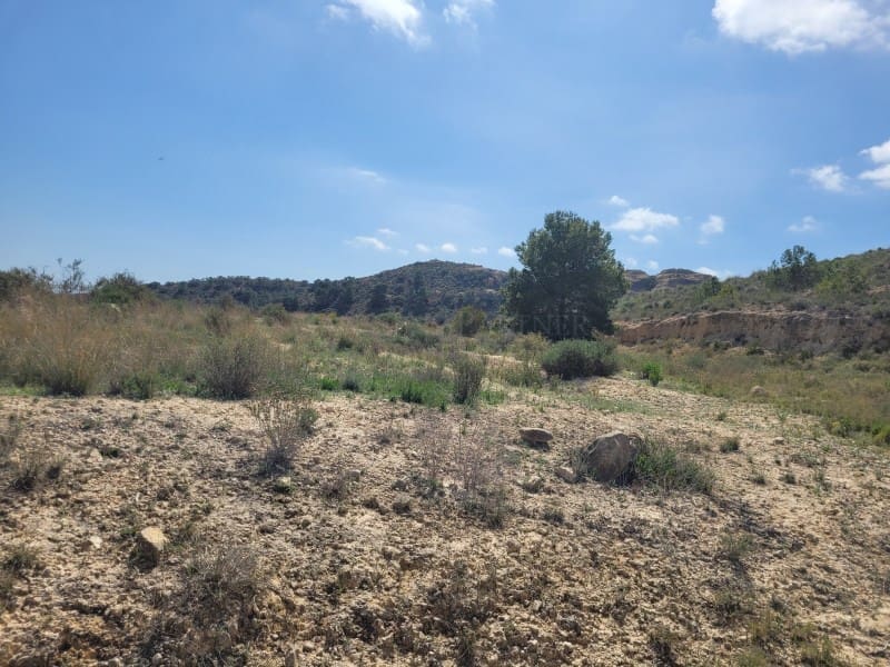 Rakentamaton maa myytävänä paikassa Aspe - 120 000 € (Ref: 8665719)