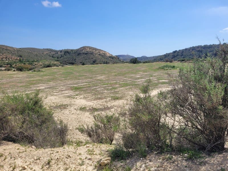 Rakentamaton maa myytävänä paikassa Aspe - 120 000 € (Ref: 8665719)