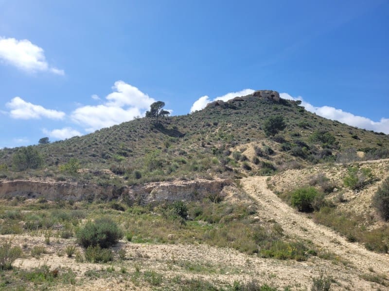 Rakentamaton maa myytävänä paikassa Aspe - 120 000 € (Ref: 8665719)