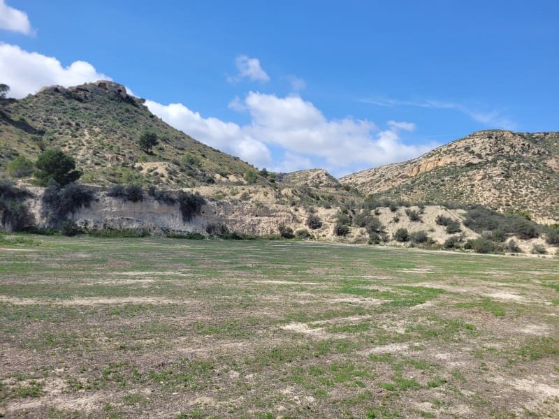 Rakentamaton maa myytävänä paikassa Aspe - 120 000 € (Ref: 8665719)