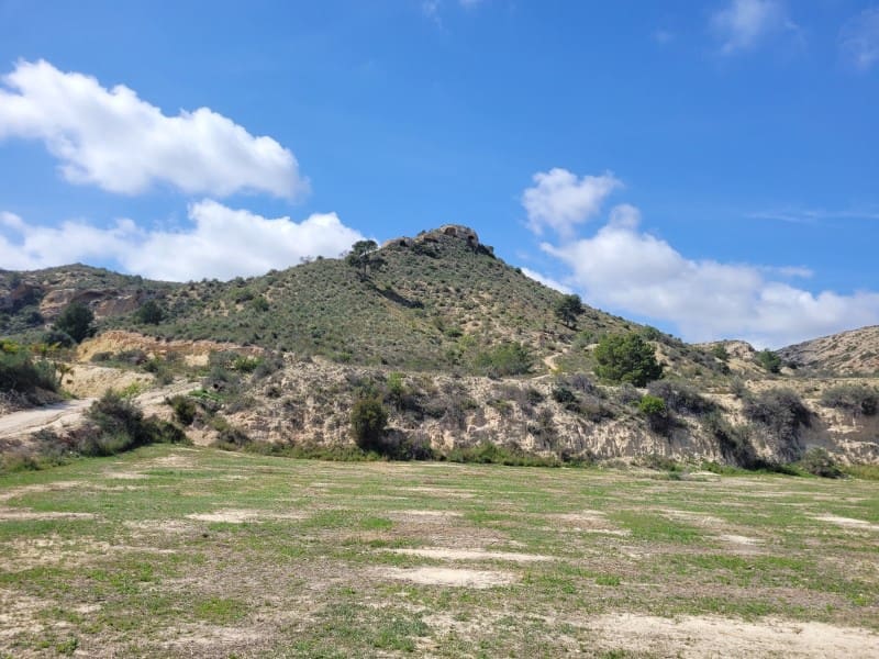 Rakentamaton maa myytävänä paikassa Aspe - 120 000 € (Ref: 8665719)