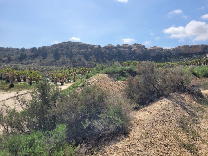 Rakentamaton maa myytävänä paikassa Aspe - 120 000 € (Ref: 8665719)