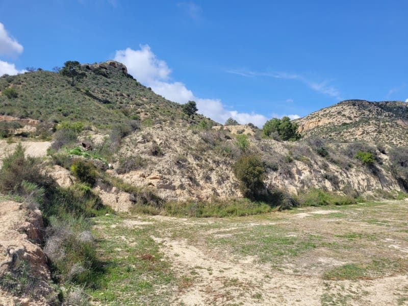 Rakentamaton maa myytävänä paikassa Aspe - 120 000 € (Ref: 8665719)