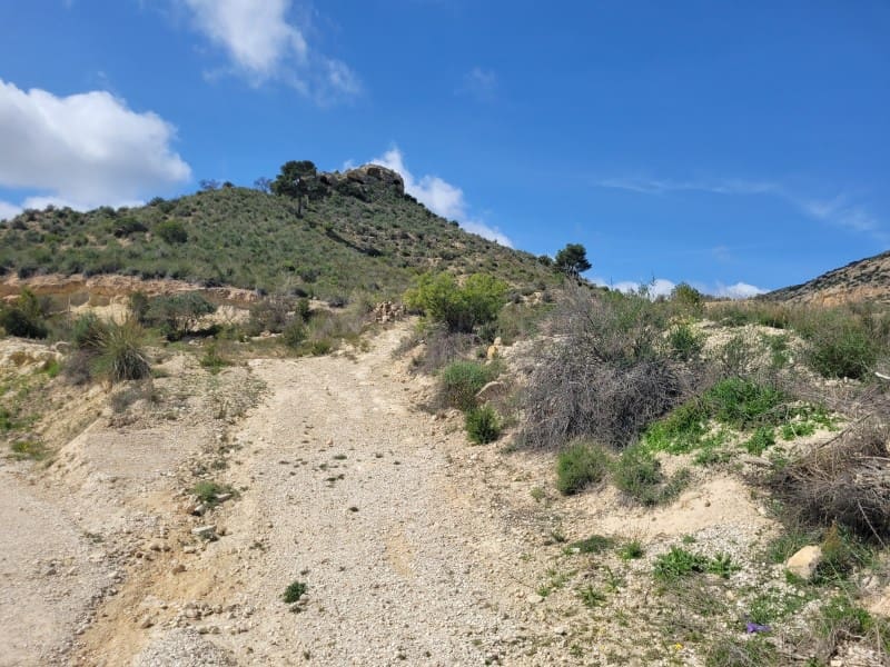 Rakentamaton maa myytävänä paikassa Aspe - 120 000 € (Ref: 8665719)