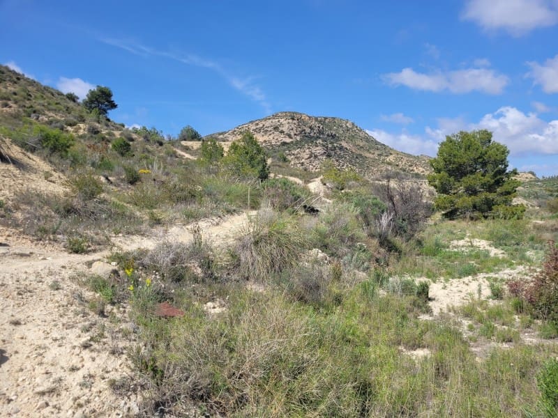 Rakentamaton maa myytävänä paikassa Aspe - 120 000 € (Ref: 8665719)