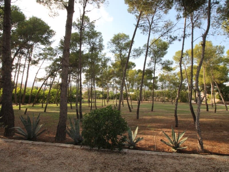 7 bedroom Villa for sale in Aspe - € 500,000 (Ref: 9005208)