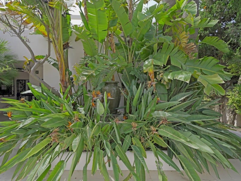 4 slaapkamer Villa te koop in Moraira met garage - € 5.850.000 (Ref: 9059832)