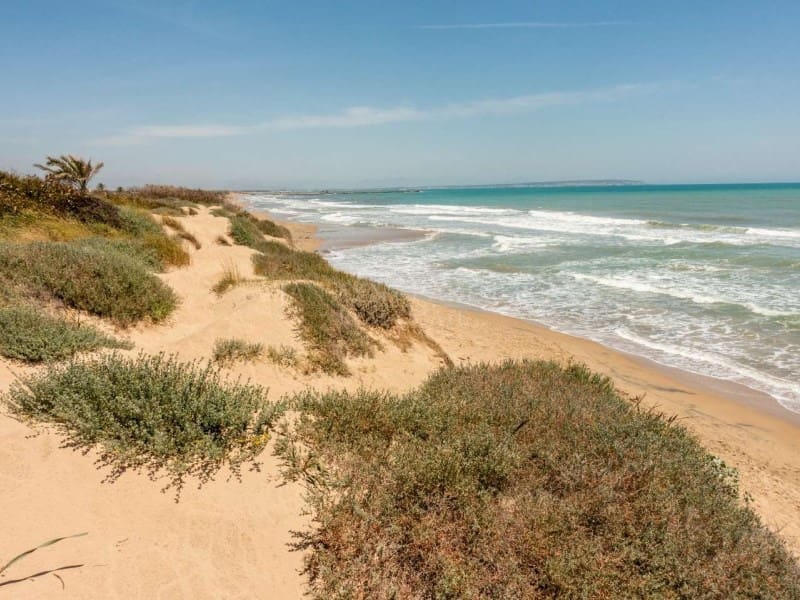 2 bedroom Apartment for sale in Guardamar del Segura with pool - € 369,500 (Ref: 9078320)