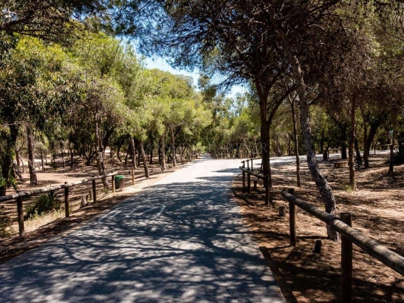 2 bedroom Apartment for sale in Guardamar del Segura with pool - € 259,000 (Ref: 9078321)