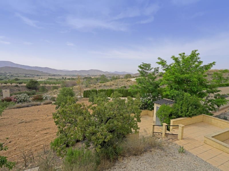 11 bedroom Villa for sale in Hondon de las Nieves - € 850,000 (Ref: 9082593)