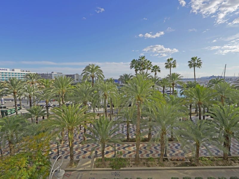 3 bedroom Apartment for rent in Alicante / Alacant city - € 6,500 (Ref: 9456481)