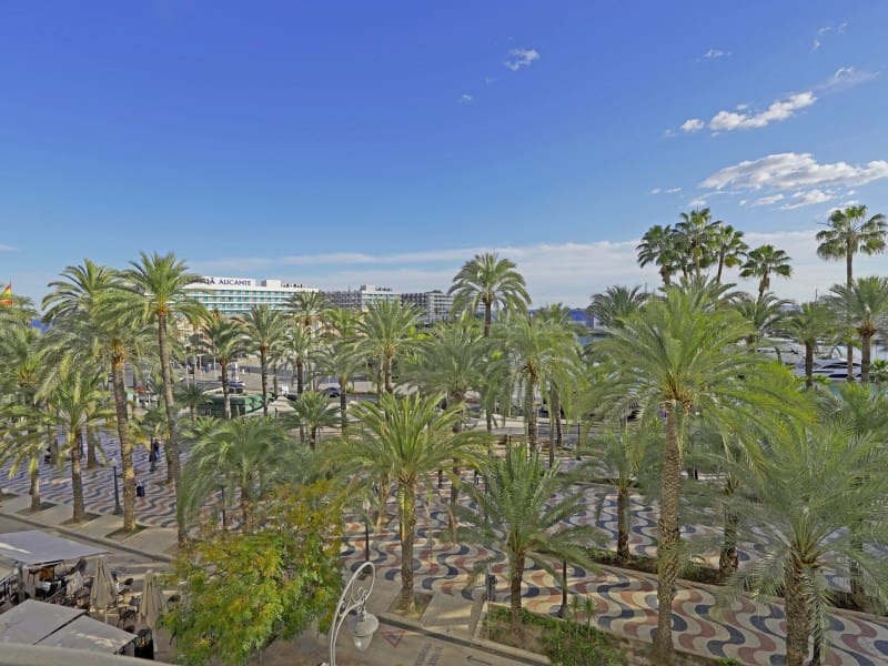 3 bedroom Apartment for rent in Alicante / Alacant city - € 6,500 (Ref: 9456481)